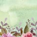 Shirley Fitch