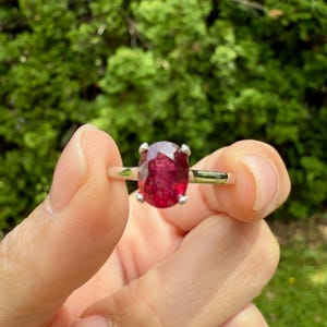 May include: A gold ring with a large, oval-cut, deep red gemstone. The gemstone is held in place by four silver prongs. The ring is held up against a background of green foliage.