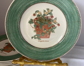Wedgwood China Sarah’s Garden Salad Plate/Green Trim/Queen's Ware/Replacement