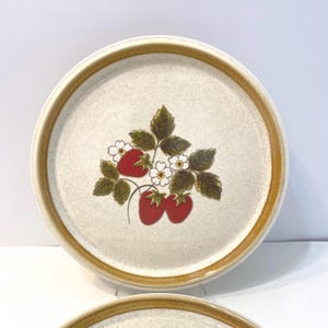 Mikasa Stone Manor Set of 2 Dinner Plates/Luscious/F5809/Replacement