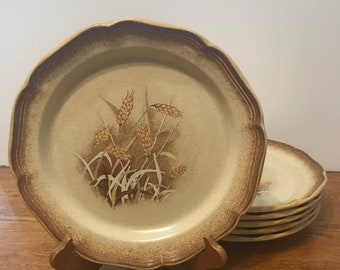Assiette plate vintage Mikasa : remplacement des céréales granola au blé entier des années 1970