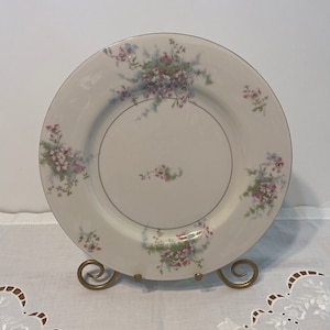Theodore Haviland Dinner Plate/ APPLE BLOSSOM/Shabby Chic/ Replacement