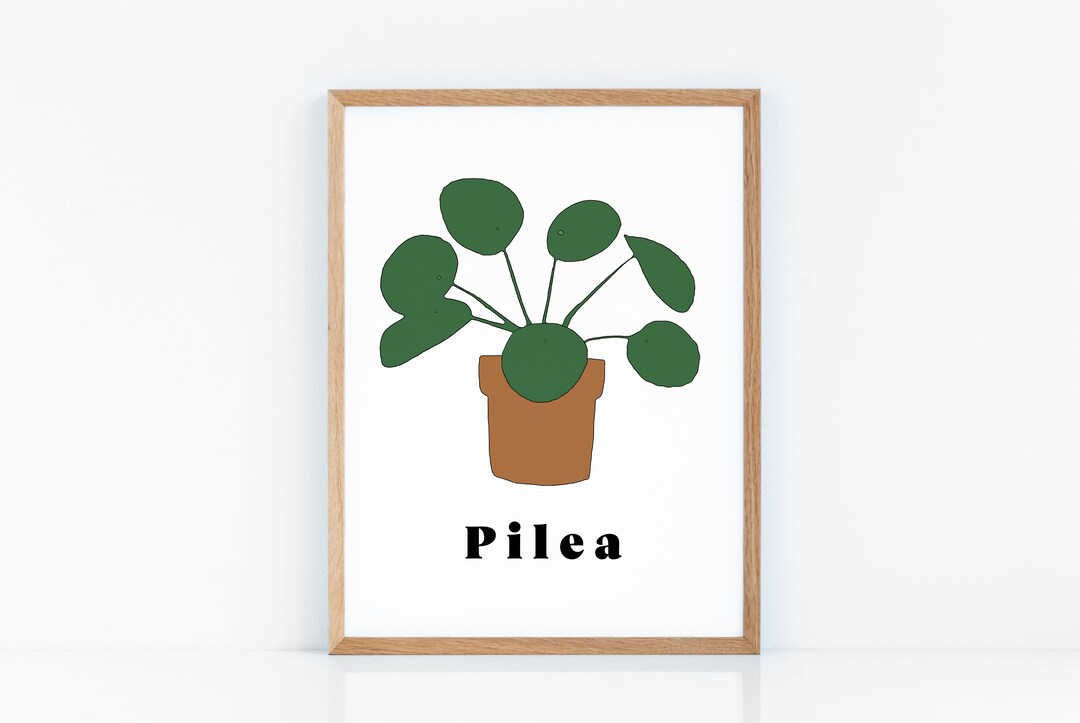Pilea Chinese Money Plant * Typography Printable, Wall Art Prints ...