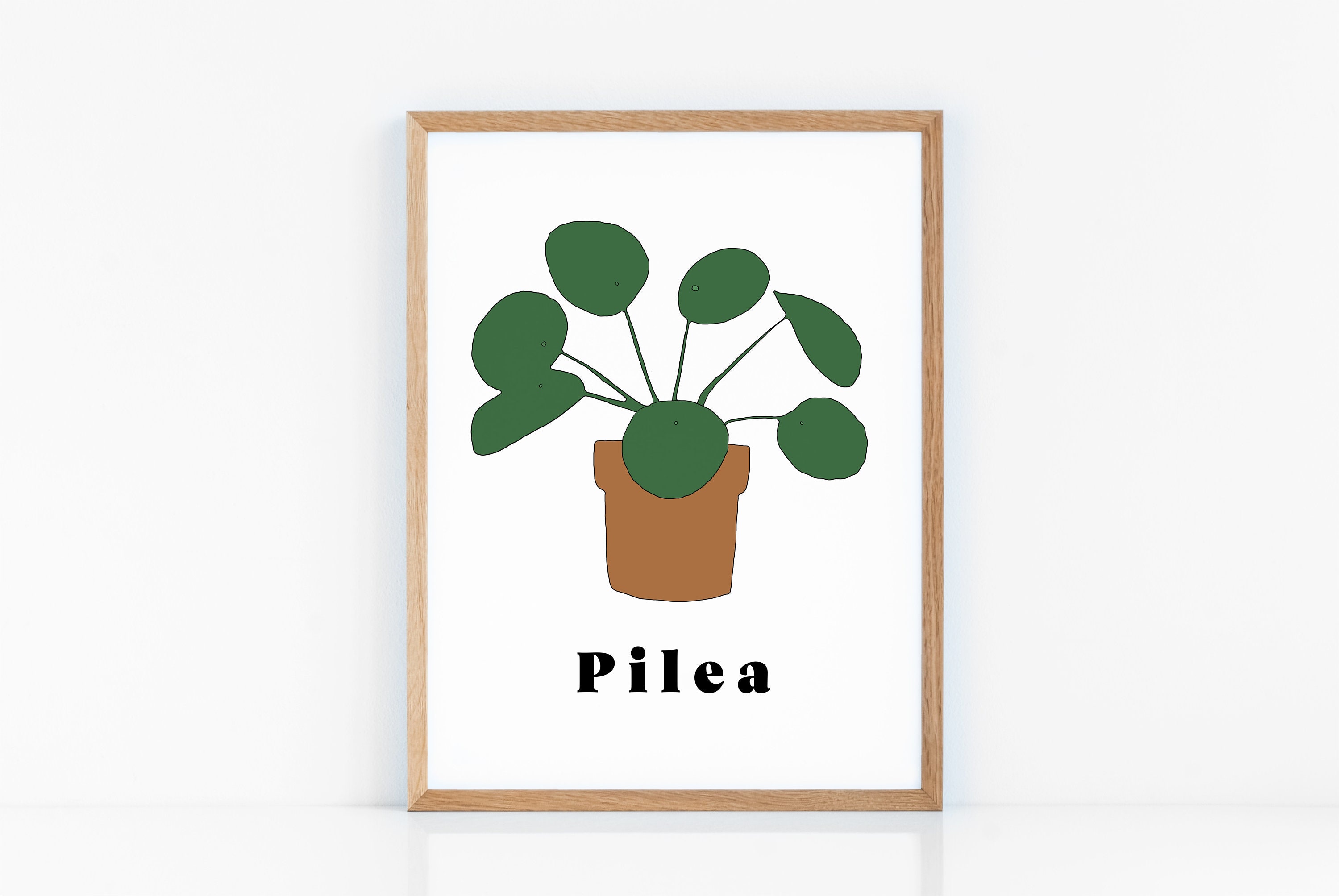 Pilea Chinese Money Plant * Typography Printable, Wall Art Prints ...