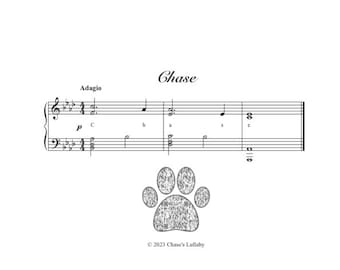Pet Name in Music, Name in Music, Pet Loss Memorial Music, Dog Memorial, Cat Memorial, Pet Memorial Gift, Dog Loss Gift, Sheet Music