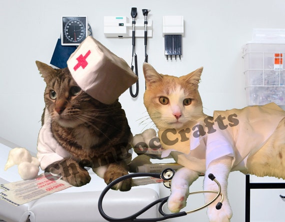 Cat Get Well Soon Card Cats In Costumes