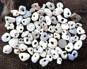 Bulk 5-50 lot natural holey beach stones Hag stones Rare beach stone Collection awesome hole
