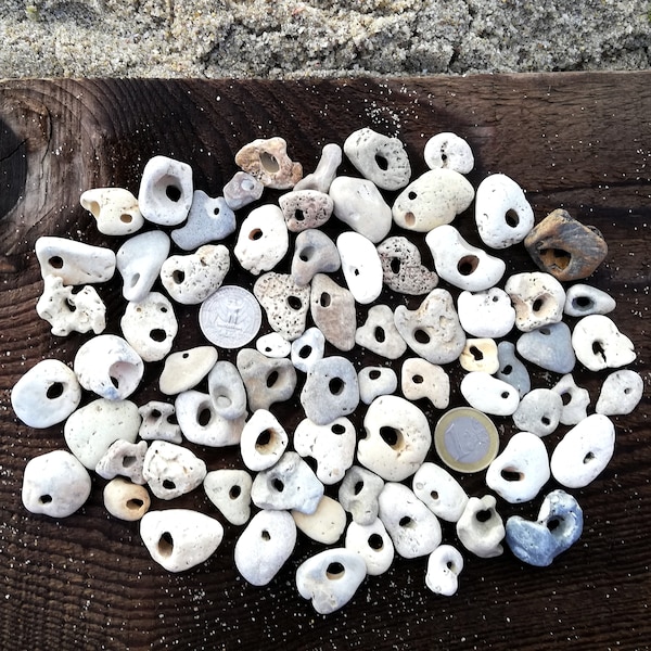 Bulk 5-50 lot natural holey beach stones Hag stones Rare beach stone Collection awesome hole