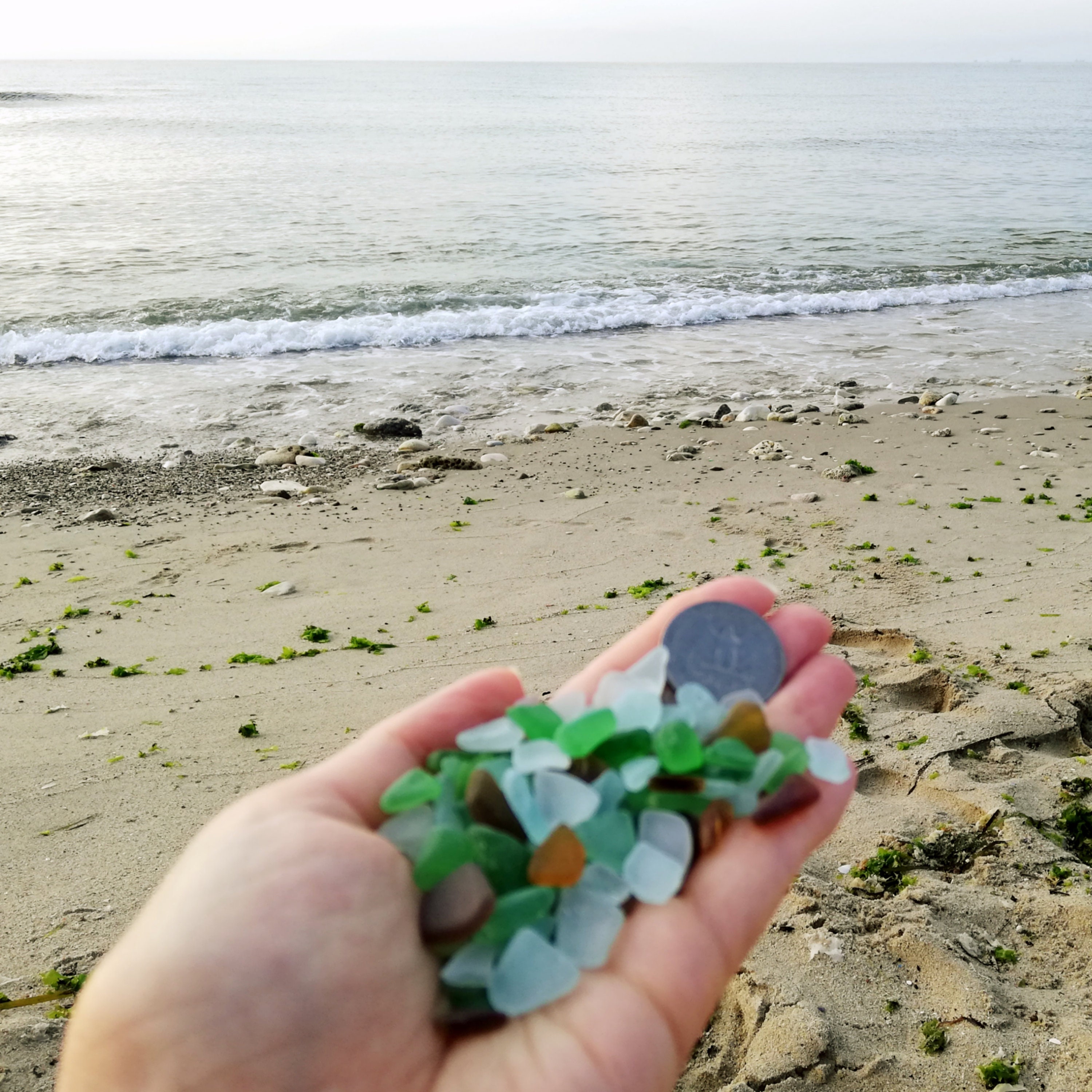 Sea Glass Small 50500 Lot Bulk Real Beach Glass Mosaic Sea Etsy Canada