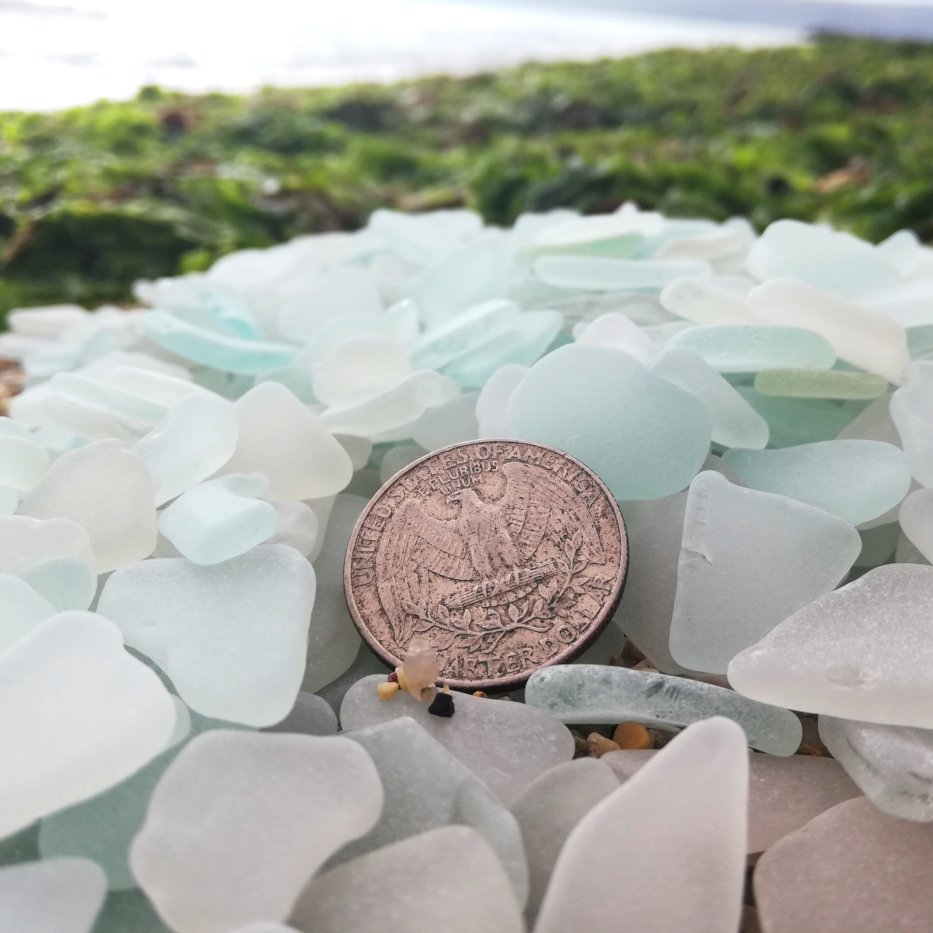 Lot 500 Genuine sea glass 04 09 Bulk craft set Etsy