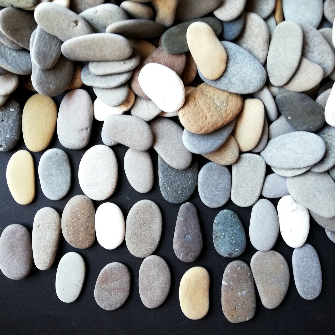 Bulk Oval Flat Beach Stones 1 1/4 1 1/2 Lot 4575 Piece Sea Pebbles