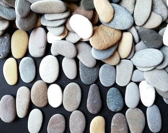 Bulk Oval Flat Beach stones  1 1/4"- 1 1/2" lot 45-75 piece Sea pebbles craft  Pieces Mosaic