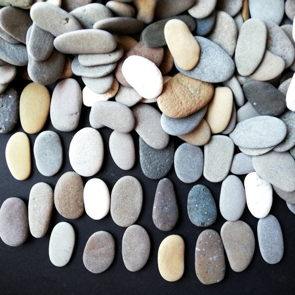 Bulk Oval Flat Beach stones  1 1/4"- 1 1/2" lot 45-75 piece Sea pebbles craft  Pieces Mosaic