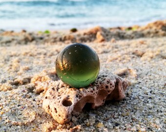 Conjunto raro de 3/4" de color caqui de mármol marino genuino y piedra Hag con agujero de una forma interesante