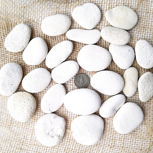 White large beach stones lot 9-27 Sea pebbles craft flat sea white stones oval round Pebble art Wedding stones