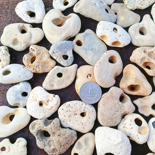 Bulk 5-20 lot natural holey beach stones Hag stones Rare beach stone Collection awesome hole