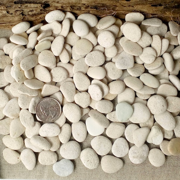 White beach small stones lot 50-150 pebbles craft flat sea stones oval round Pebble art Picture stones