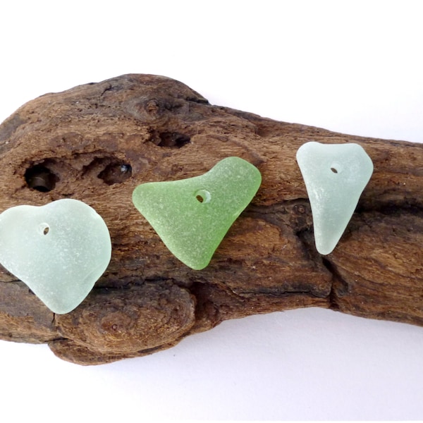 Tiny Bulk Sea Glass Small Green Genuine Beach Glass Lot