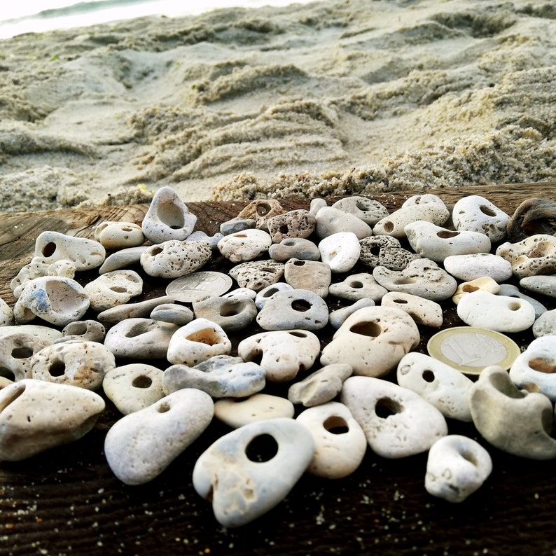 Bulk 550 lot natural holey beach stones Hag stones Rare beach Etsy