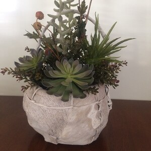 May include: A white, woven basket planter filled with a variety of green succulents and dried flowers. The planter has a unique, organic shape and is perfect for adding a touch of nature to any room.