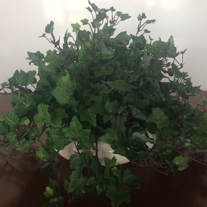 May include: A lush green artificial ivy plant with trailing vines, perfect for adding a touch of greenery to any space.
