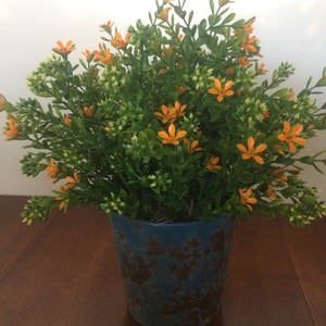 Plastic Astible Star Flowers/Berry Bush In Plastic Pot 10&quot;LX10&quot;WX12&quot;H SKU: VS051019M
