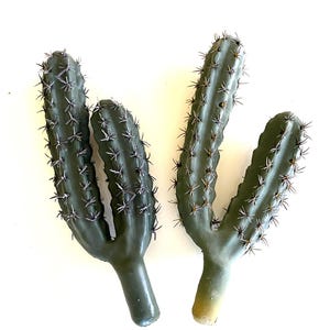 May include: Two dark green, multi-stemmed cactus figures with vertical ridges and sharp, dark-colored spines. Each cactus features a central base that splits into two distinct, upright arms, showcasing a smooth, matte texture throughout.