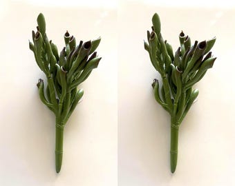 7" Coral Succulent Pick GR/B SKU:CS1500-GR   (C)  ( Pack of 2 )