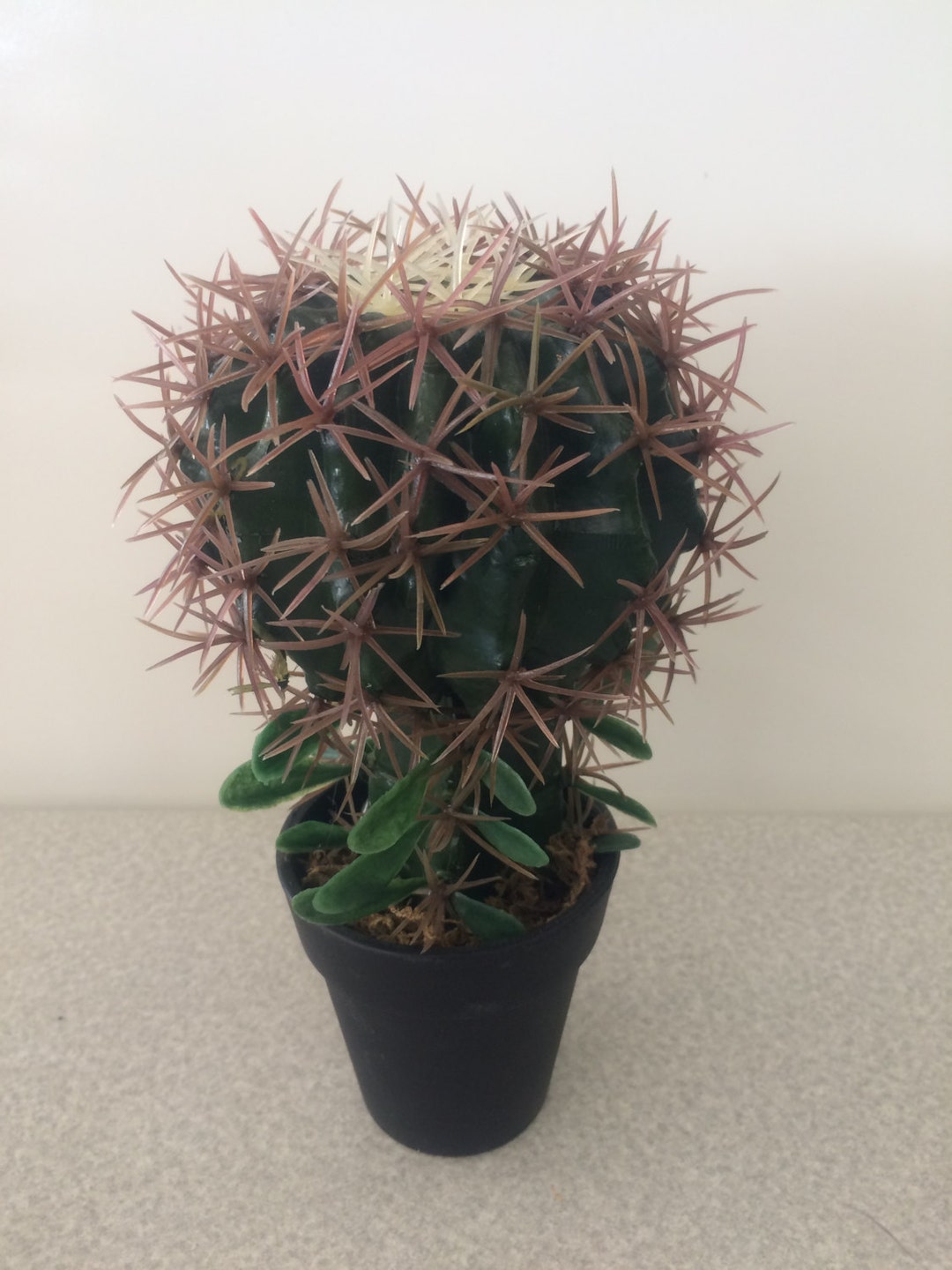 Artificial Barrel Cactus in Pot SKU CB159 Etsy