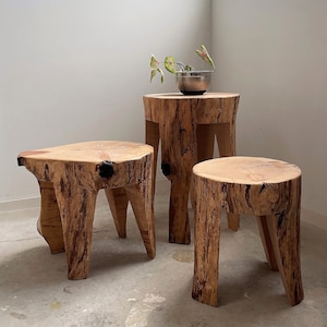 Peut inclure: Trois tabourets en souche de bois de différentes hauteurs. Les tabourets sont faits de bois naturel, mettant en valeur le grain et la texture de l'arbre. Le plus grand tabouret a une forme irrégulière unique, tandis que les autres sont plus circulaires. Un petit bol en métal avec une plante est posé sur le tabouret du milieu.