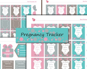 Pregnancy Planner Stickers Printable Milestones Planner
