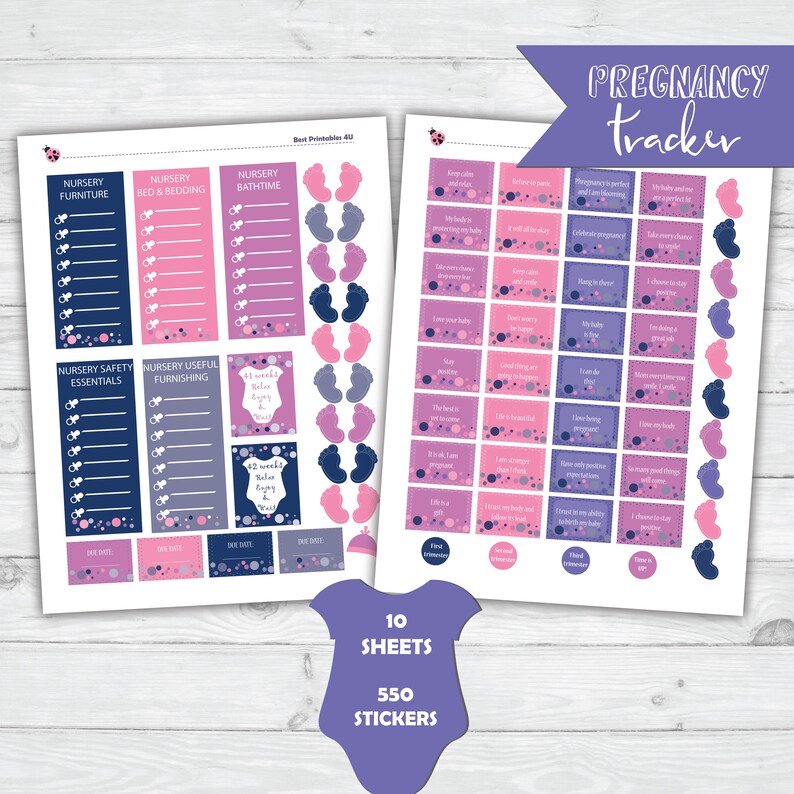 Pregnancy Planner Stickers Printable Milestones Planner | Etsy