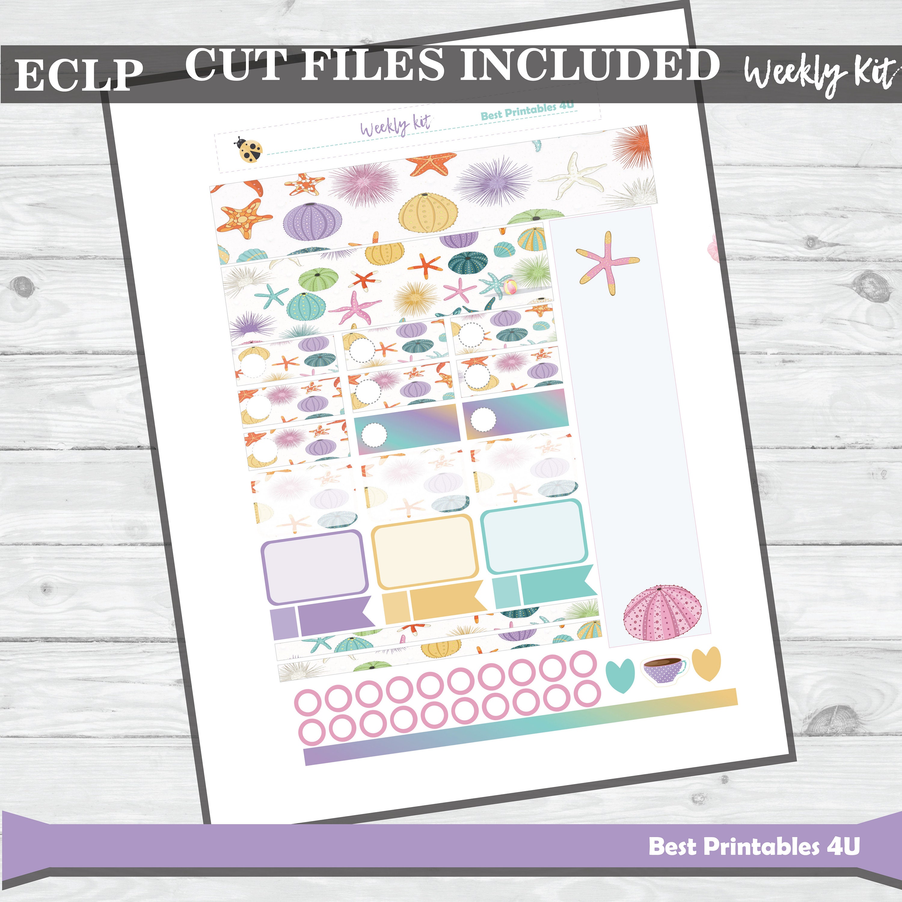 ERIN Condren Weekly Kit Printable Planner Stickers Summer - Etsy
