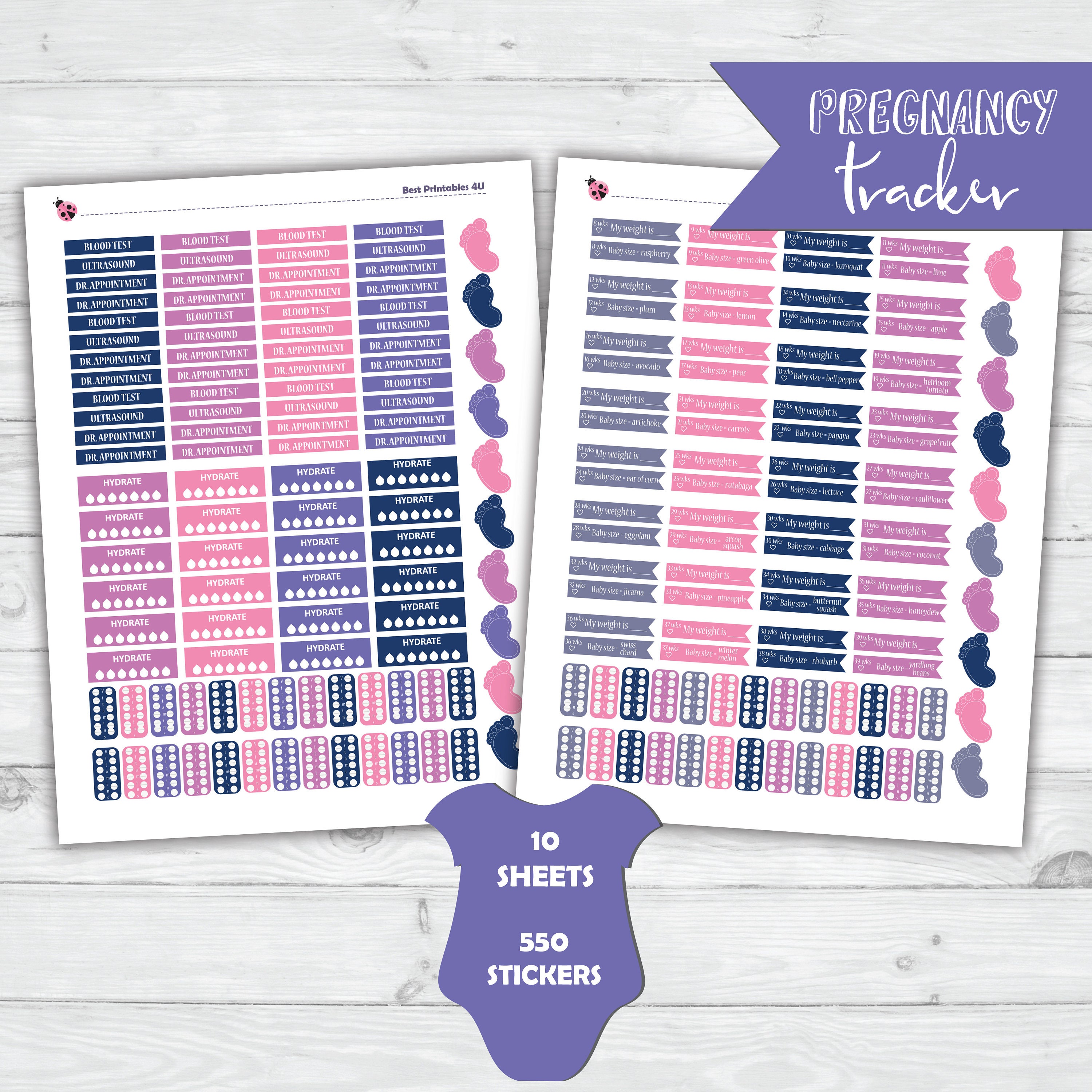 Pregnancy Planner Stickers Printable Milestones Planner | Etsy