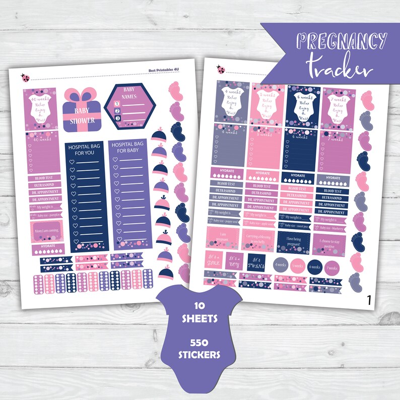 Pregnancy Planner Stickers Printable Milestones Planner | Etsy