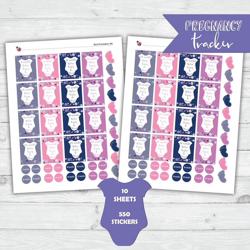 Pregnancy Planner Stickers Printable Milestones Planner | Etsy