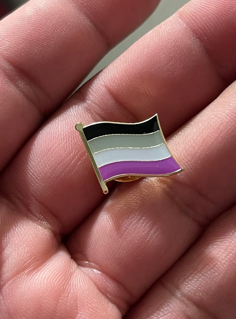 Asexual Pride Flag Lapel Pin image 1