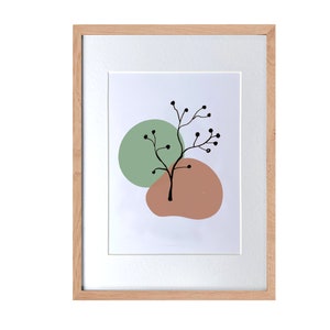 a picture of a plant on a white background