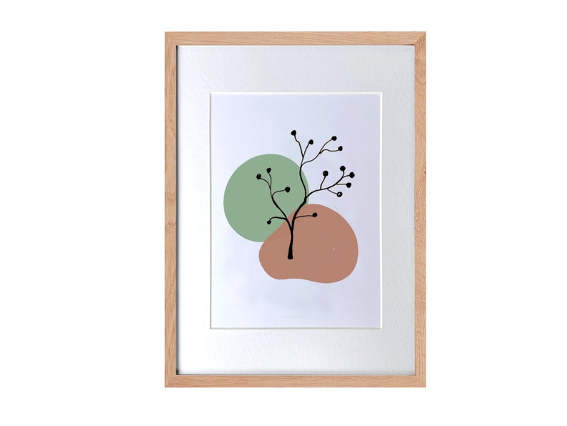 a picture of a plant on a white background