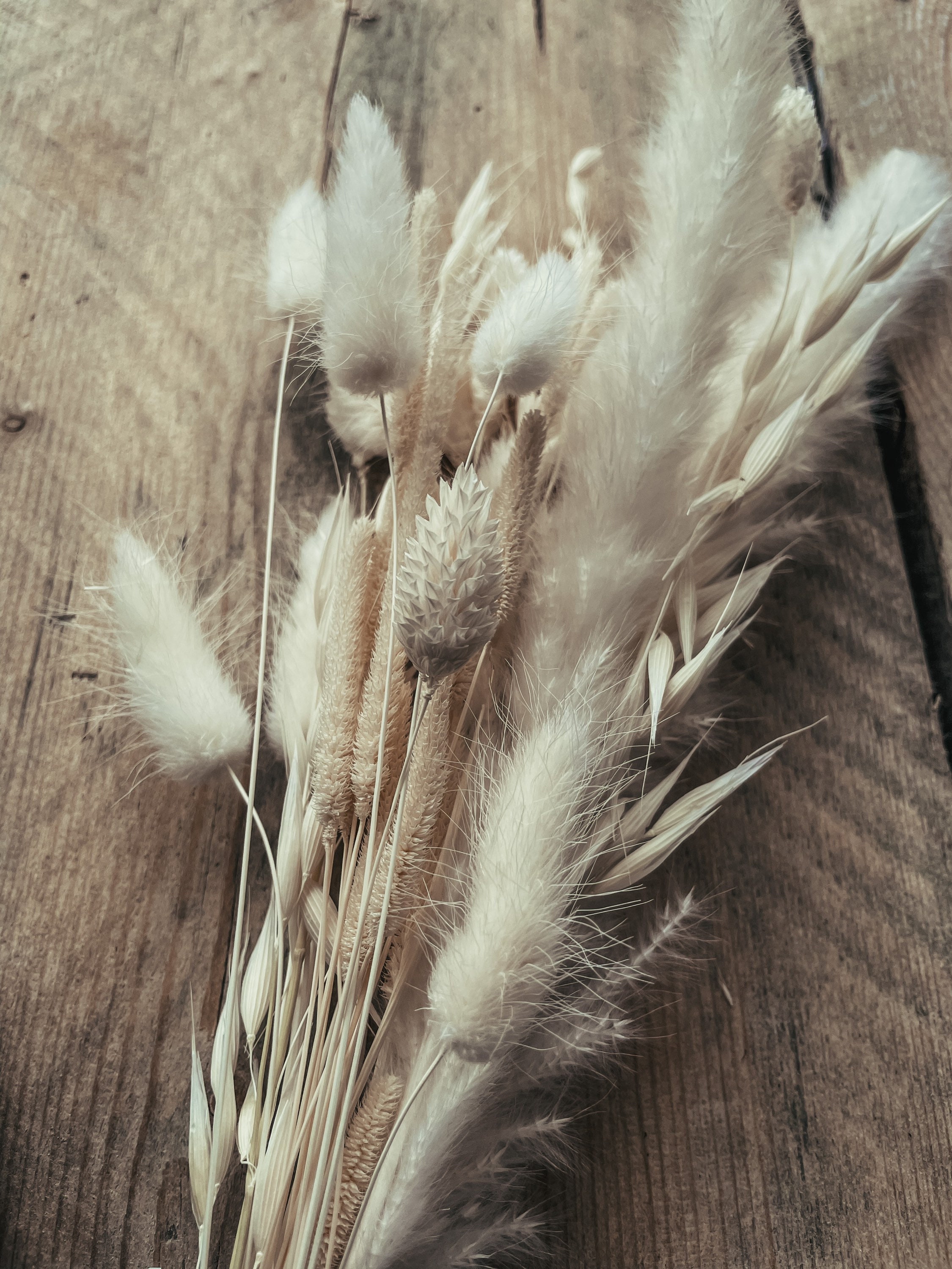 DRIED FLOWERS and Black Vase. Home Decor //dried Flowers Etsy UK