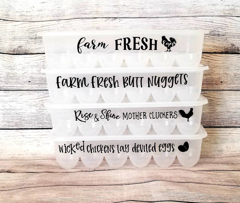 Egg Holder Dozen Egg Container Funny Egg Holder Egg Decals Etsy