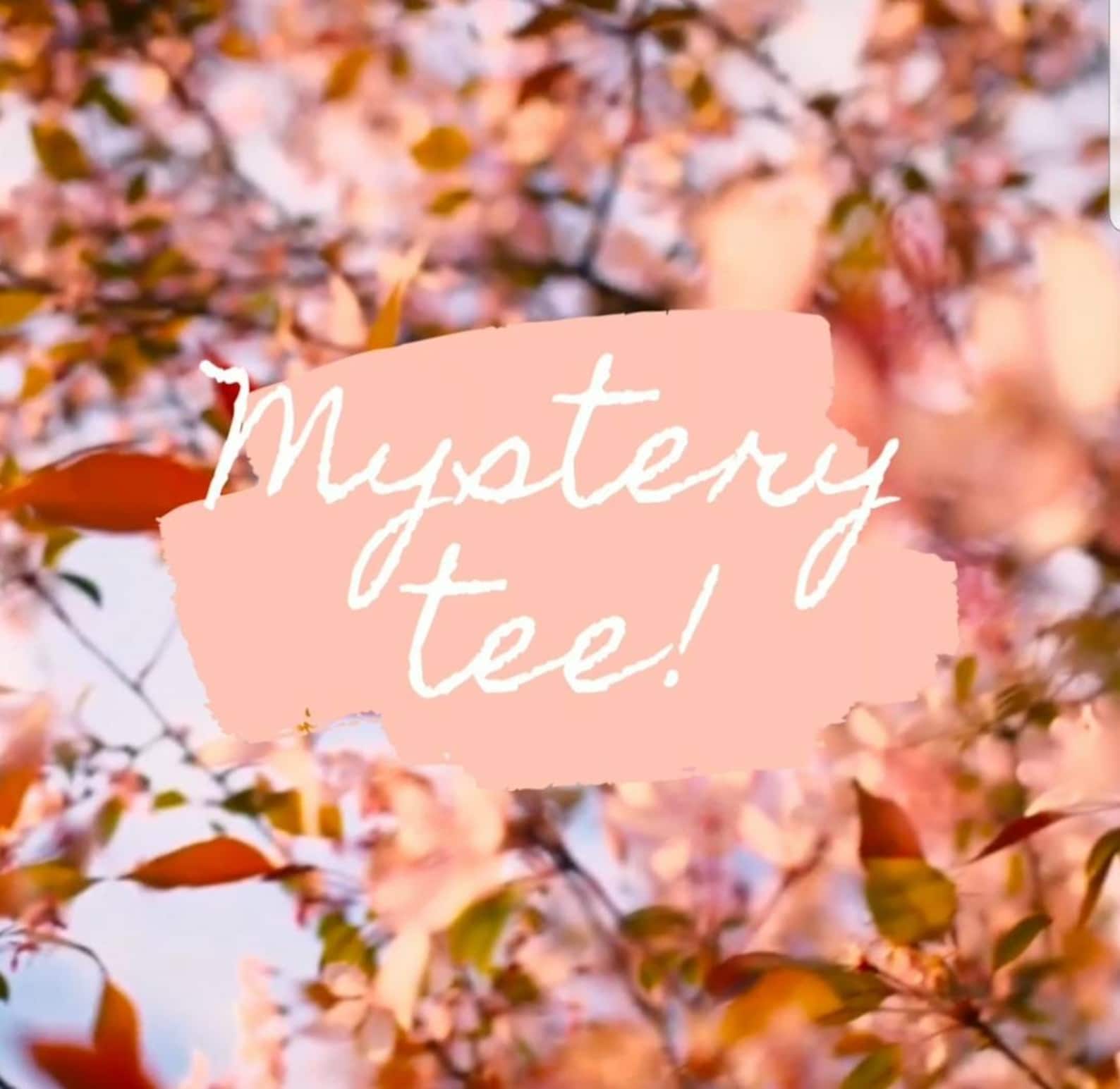 Mystery Tee Mystery Shirt Shirt Grab Bag Adult Mystery Etsy