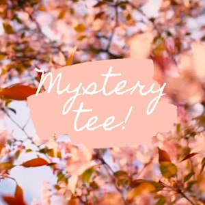 Mystery Tee, Mystery Shirt, Shirt Grab bag, Adult Mystery Shirt, Kids Mystery Shirt,