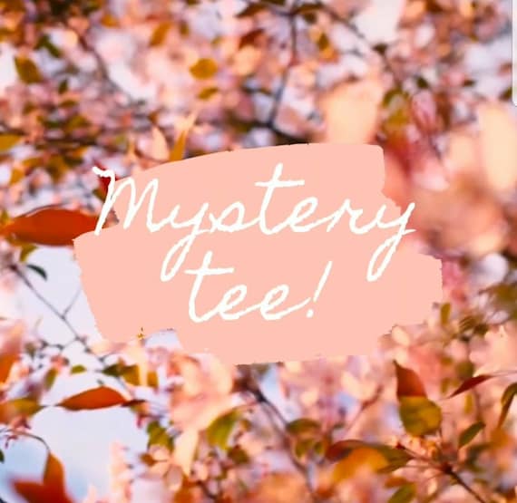 Mystery Tee, Mystery Shirt, Shirt Grab bag, Adult Mystery Shirt, Kids Mystery Shirt,