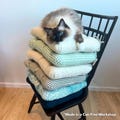 U-Shaped Cotton Dining Chair Pads with Ties - Comfortable Machine Washable Cushions, Made in USA