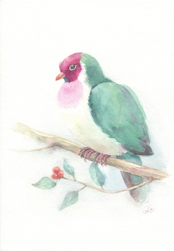Fruit Dove Original Watercolor Bird 7 X 10 18 X 26 Cm