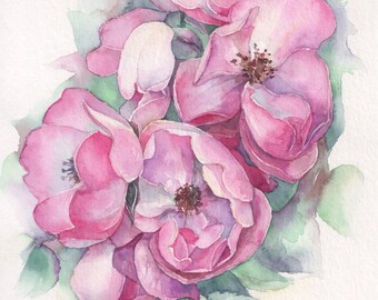 Pink Roses, Original watercolor