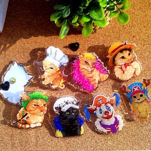 One-Piece Cat-Meme PINS