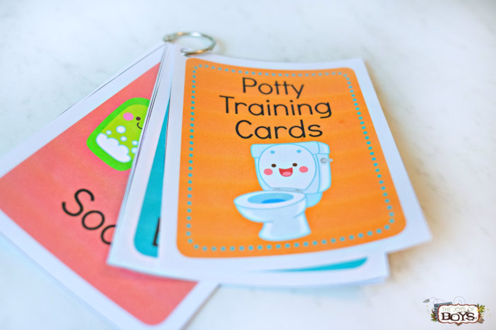 Potty Training Visual Schedule Cards Etsy Canada