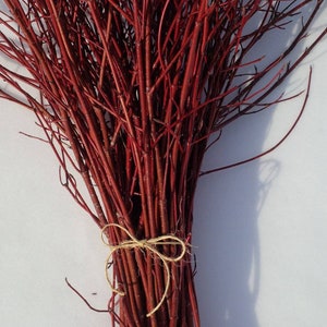 Bundle of Red Dogwood Twigs,Branches,Floral,Arrangement,Wall Art,Rustic Decor,Fall,Wreath Material,Wedding Decor,Christmas,Holiday,Sticks image 1